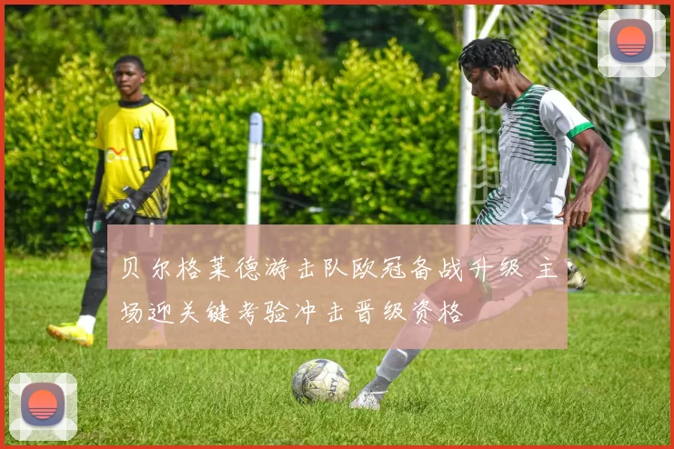 贝尔格莱德游击队欧冠备战升级 主场迎关键考验冲击晋级资格