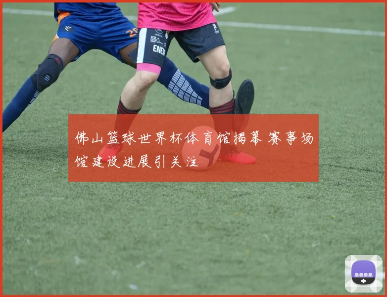 佛山篮球世界杯体育馆揭幕 赛事场馆建设进展引关注