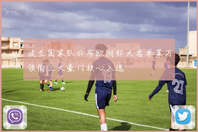 波兰国家队公布欧洲杯大名单莱万领衔三大豪门核心入选