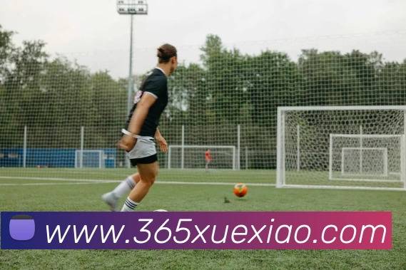 leyu网页版在线登录(中国)官方入口服务体系